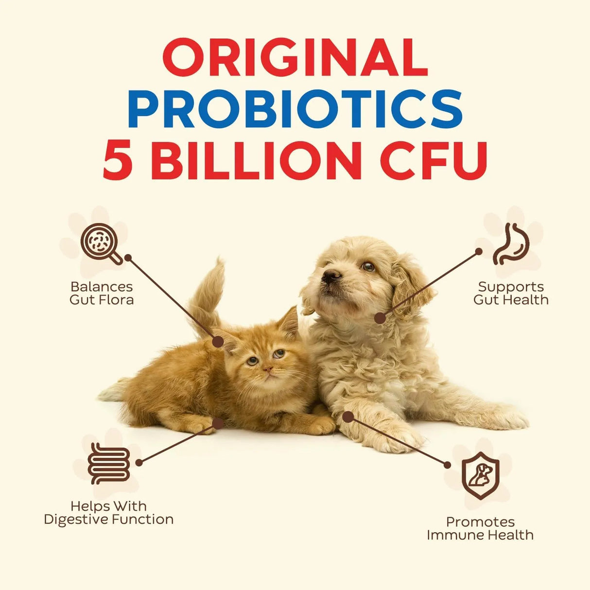 PAWSPAL - Pawspal Probiotics for Dogs and Cats 5 Billion CFU 20 Paquetes 2 Pack - The Red Vitamin MX - Probióticos Para Perros - {{ shop.shopifyCountryName }}