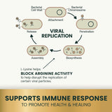 VetriScience Lysine Immunity Health Chews for Cats Chicken 120 Masticables