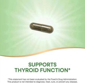 NATURE'S WAY - Nature's Way Kelp 600Mg. 180 Capsulas - The Red Vitamin MX - Suplementos Alimenticios - {{ shop.shopifyCountryName }}