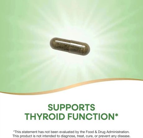 NATURE'S WAY - Nature's Way Kelp 600Mg. 180 Capsulas - The Red Vitamin MX - Suplementos Alimenticios - {{ shop.shopifyCountryName }}