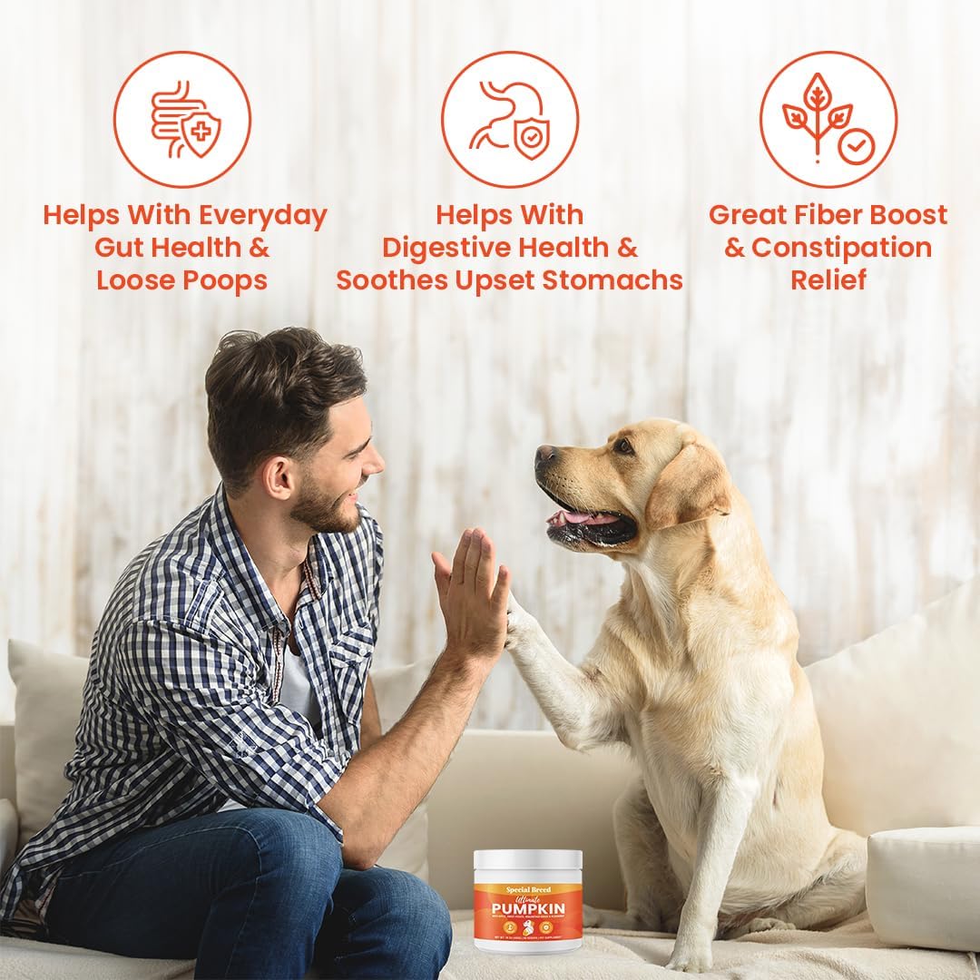 Special Breed Ultimate Pumpkin for Dogs 60 Servicios 453Gr.