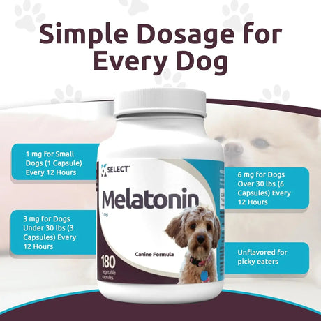K9 SELECT - K9 Select Melatonin for Small Dogs Unflavored 1Mg. 180 Capsulas - The Red Vitamin MX - Relajantes Para Perros - {{ shop.shopifyCountryName }}