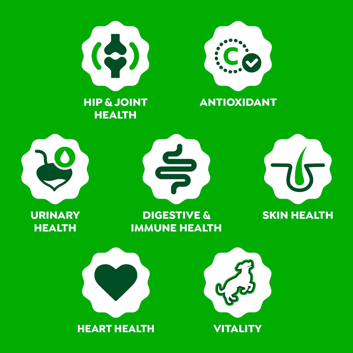 GREENIES - Greenies Dog Supplements 8-in-1 Multi-Benefit Chicken Flavor 80 Masticables - The Red Vitamin MX - Multivitamínicos Para Perros - {{ shop.shopifyCountryName }}