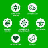 GREENIES - Greenies Dog Supplements 8-in-1 Multi-Benefit Chicken Flavor 80 Masticables - The Red Vitamin MX - Multivitamínicos Para Perros - {{ shop.shopifyCountryName }}