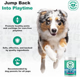 Doggie Dailies Advanced Senior Hip and Joint for Dogs Duck 120 Masticables