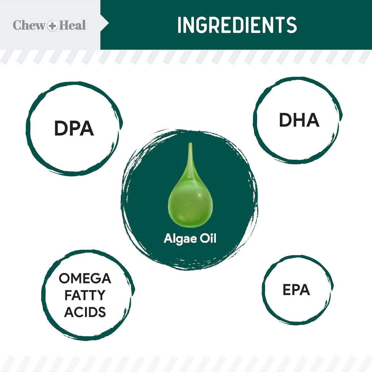Chew + Heal Labs Vegan Omega 3 Oil for Dogs 8 Fl.Oz.