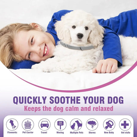 TCLLKA - Tcllka Calming Collar for Dogs 4 Pack - The Red Vitamin MX - Relajantes Para Perros - {{ shop.shopifyCountryName }}