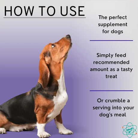 PET CARE SCIENCES - PET CARE Sciences Bladder Strength 55 Masticables - The Red Vitamin MX - Salud De Tracto Urinario Para Perros - {{ shop.shopifyCountryName }}