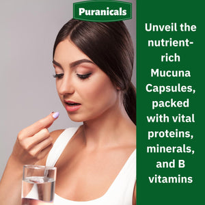 PURANICALS - Puranicals Mucuna Premium 320 Capsulas - The Red Vitamin MX - Suplementos Alimenticios - {{ shop.shopifyCountryName }}