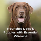 PetAg Dyne PRO HG Healthy Gut for Dogs & Puppies Sweet Vanilla Flavor 946Ml.