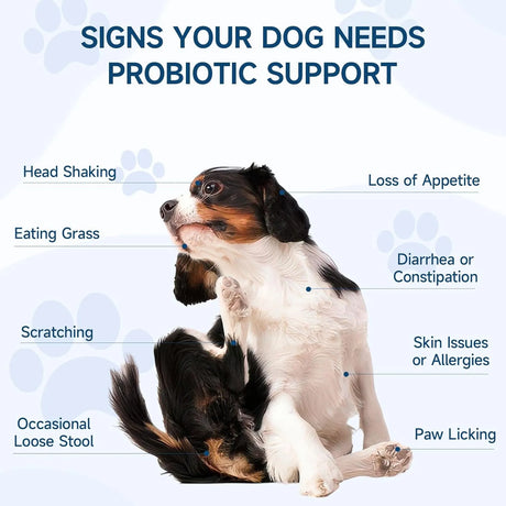 WOYAMAY - Woyamay Dog Probiotic for Dogs 200 Masticables - The Red Vitamin MX - Probióticos Para Perros - {{ shop.shopifyCountryName }}