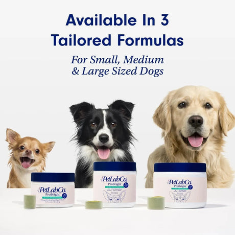 PROLAB - PetLab Co. ProBright Dental Powder Large Dogs 90Gr. - The Red Vitamin MX - Cuidado Dental Para Perros - {{ shop.shopifyCountryName }}