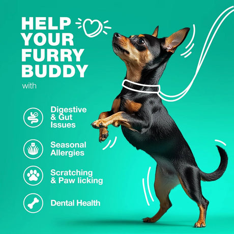 CHEWIA - CHEWIA Probiotics for Dogs 70 Masticables - The Red Vitamin MX - Probióticos Para Perros - {{ shop.shopifyCountryName }}