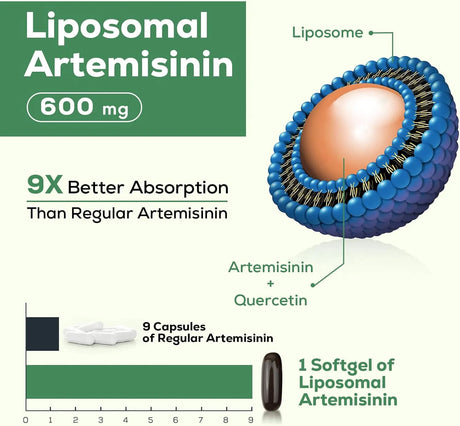 OSASUNA - Osasuna Liposomal Artemisinin 900Mg. 60 Capsulas Blandas 2 Pack - The Red Vitamin MX - Suplementos Alimenticios - {{ shop.shopifyCountryName }}