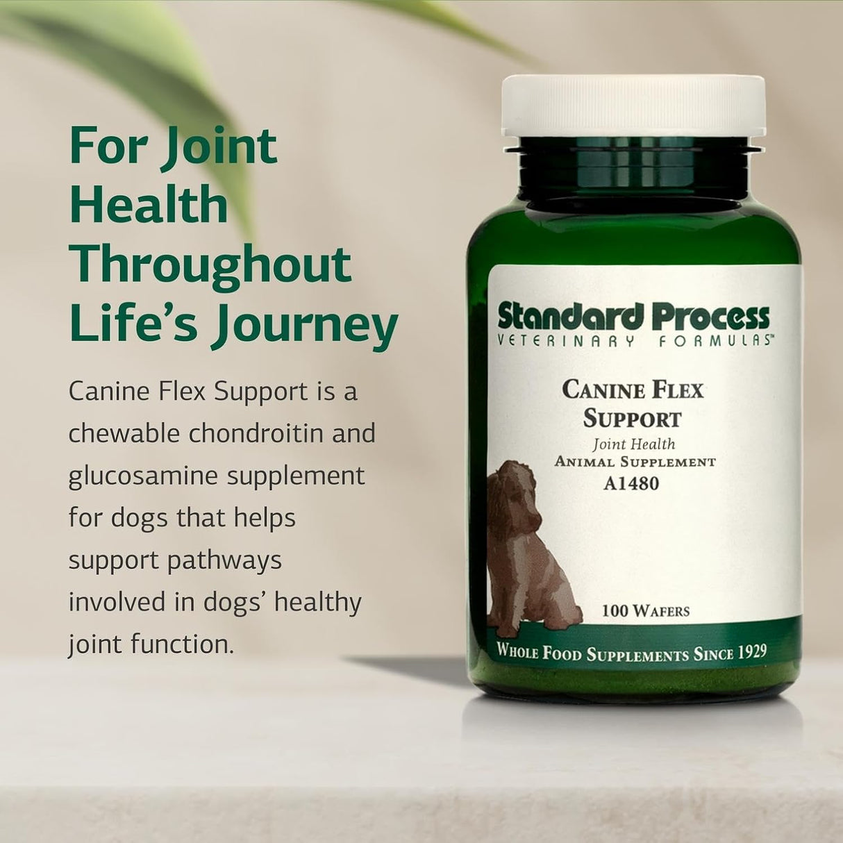 Standard Process Inc. Canine Flex Support 100 Masticables