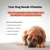 KAYODE - Kayode Daily Multi Dog Multivitamin & Superfood Chew 90 Masticables - The Red Vitamin MX - Multivitamínicos Para Perros - {{ shop.shopifyCountryName }}