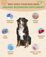 SANTKOL - SANTKOL 9 in 1 Mushroom Supplement for Dogs 60Ml. - The Red Vitamin MX - Suplementos Herbales Para Perros - {{ shop.shopifyCountryName }}