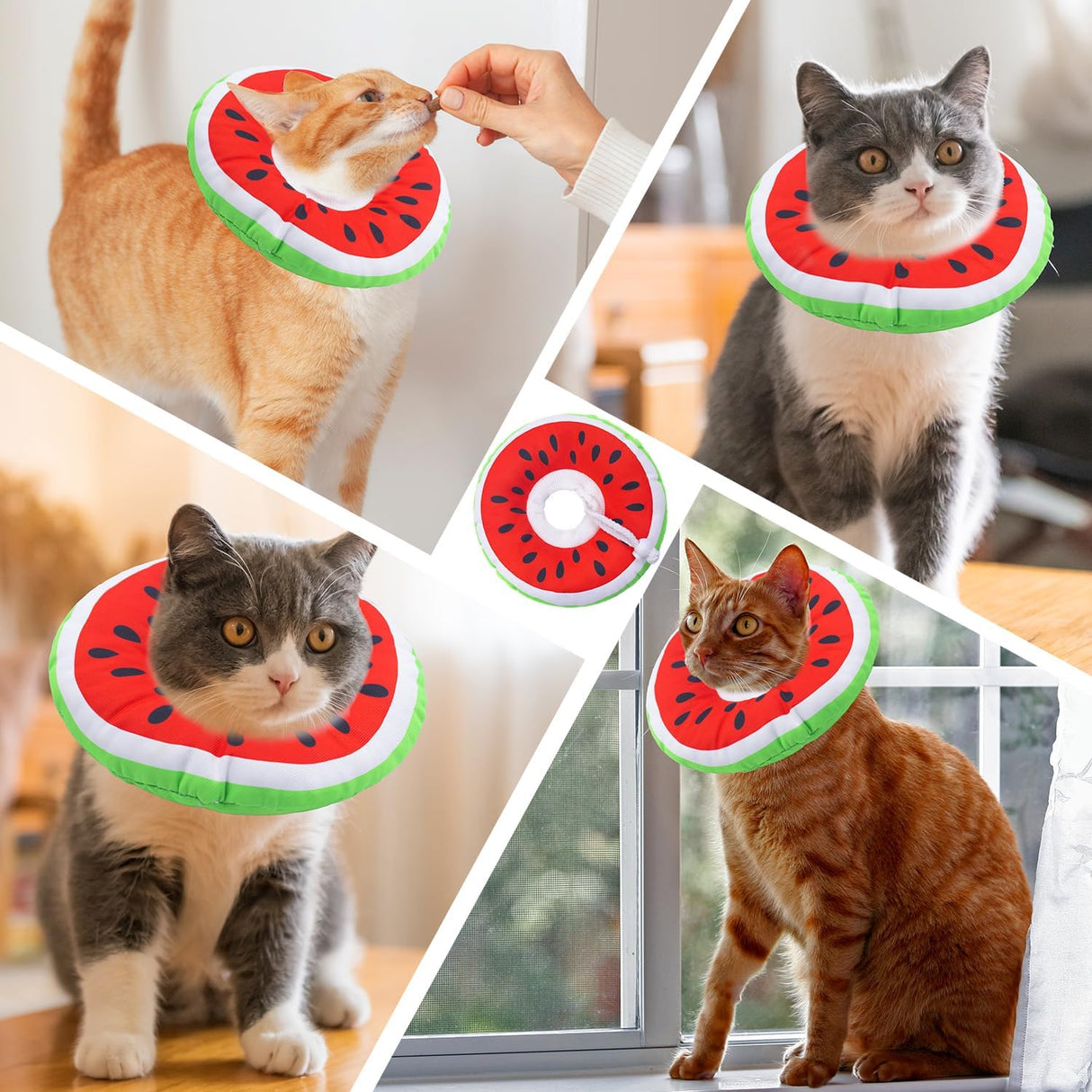 Seyezo Cat Cone Collar Soft Watermelon Large