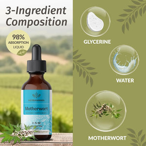 HERBAMAMA - HERBAMAMA Motherwort Tincture 2 Fl.Oz. - The Red Vitamin MX - Suplementos Alimenticios - {{ shop.shopifyCountryName }}