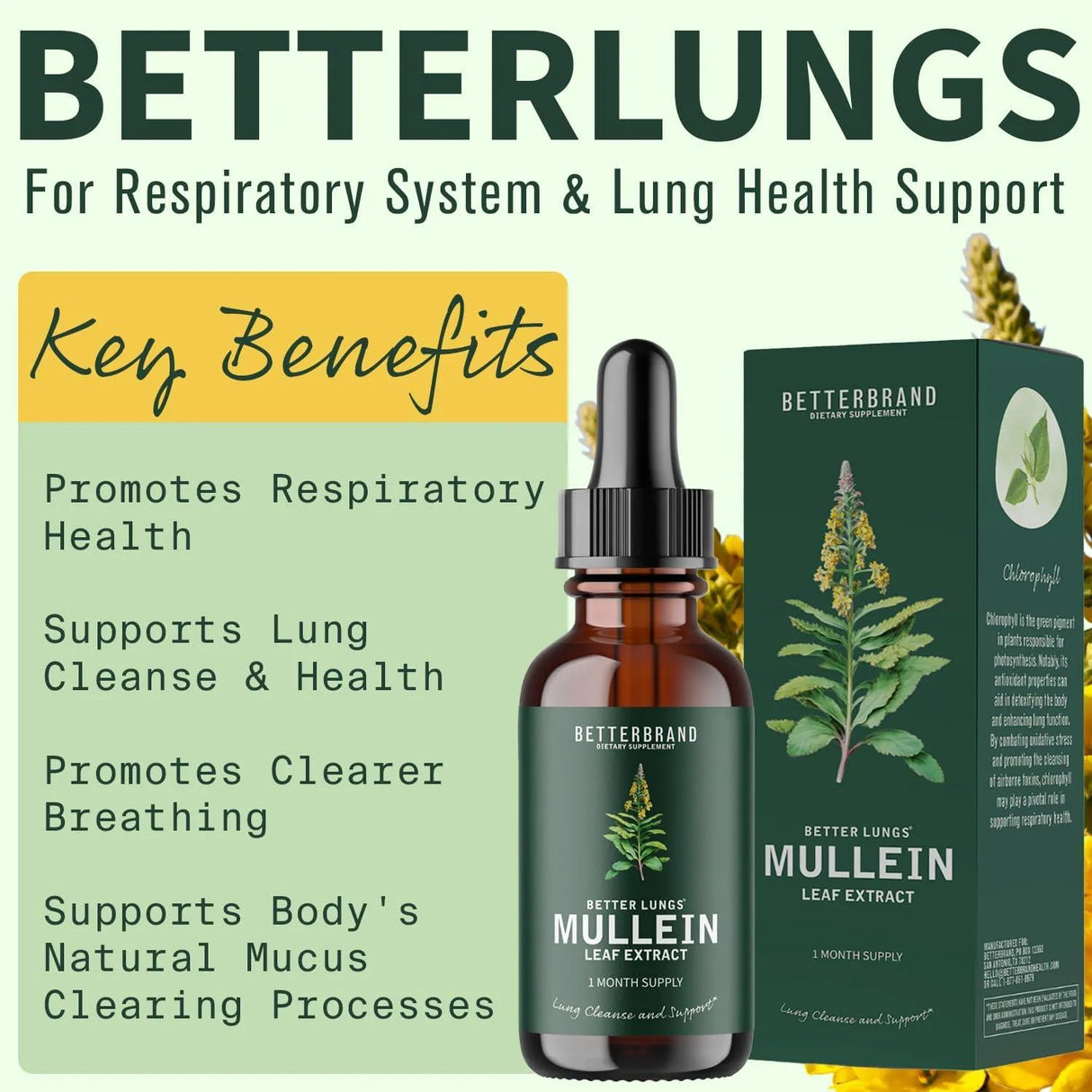 BETTERBRAND - Betterbrand BetterLungs Mullein Leaf Extract Support Lung Cleanse 60Ml. - The Red Vitamin MX - Suplementos Alimenticios - {{ shop.shopifyCountryName }}