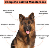 Kayode Joint & Recovery 2-in-1 Joint & Muscle Chews 90 Masticables