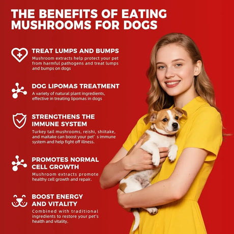 VIVAELIXIR - VivaElixir Turkey Tail Mushroom for Dogs 120 Tabletas Masticables - The Red Vitamin MX - Suplementos Herbales Para Perros - {{ shop.shopifyCountryName }}