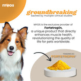 MYOS Canine Muscle Formula All-Natural Muscle Building Supplement 180Gr.