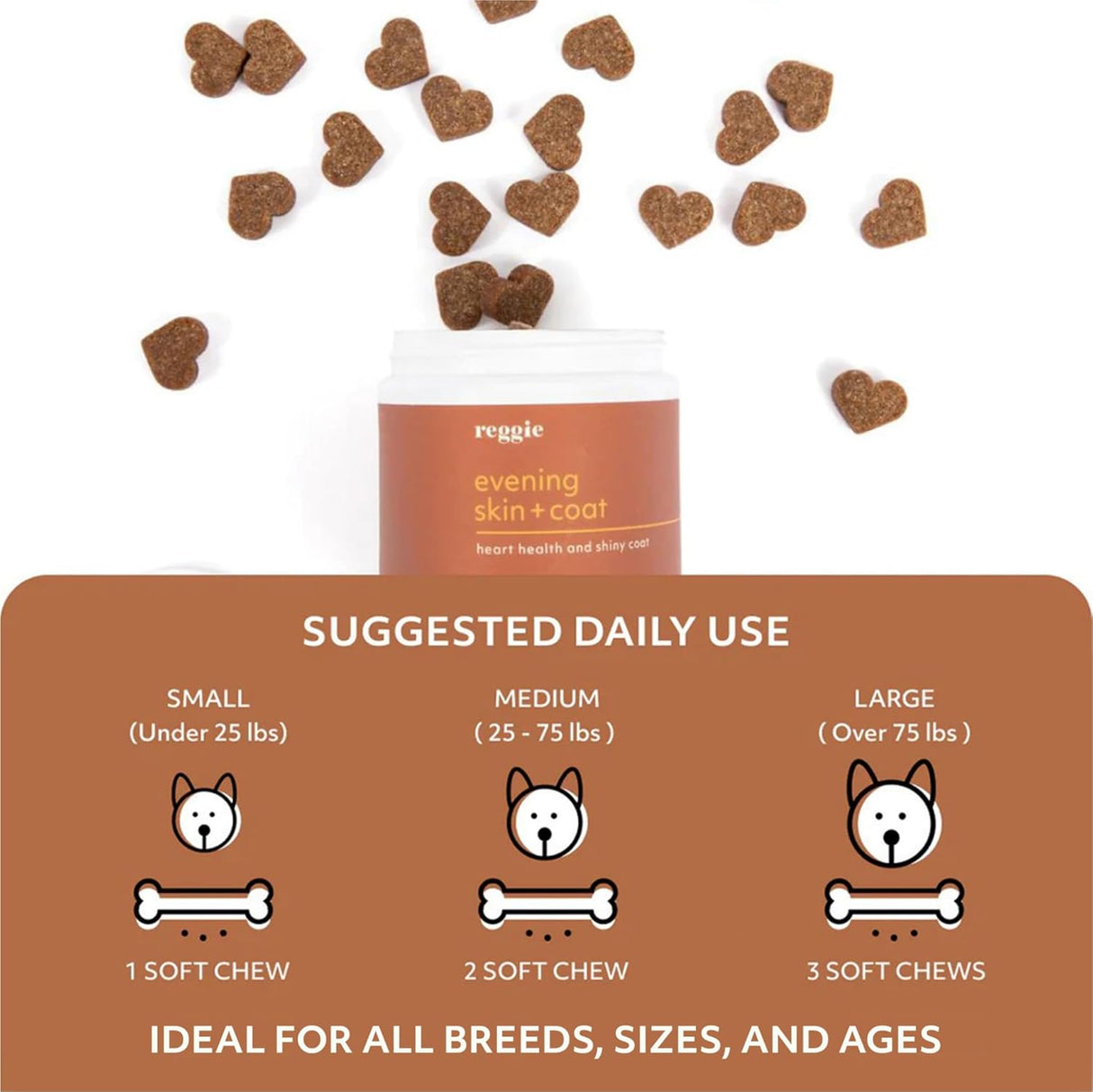 Reggie Evening Skin + Coat Supplements for Dogs 60 Masticables