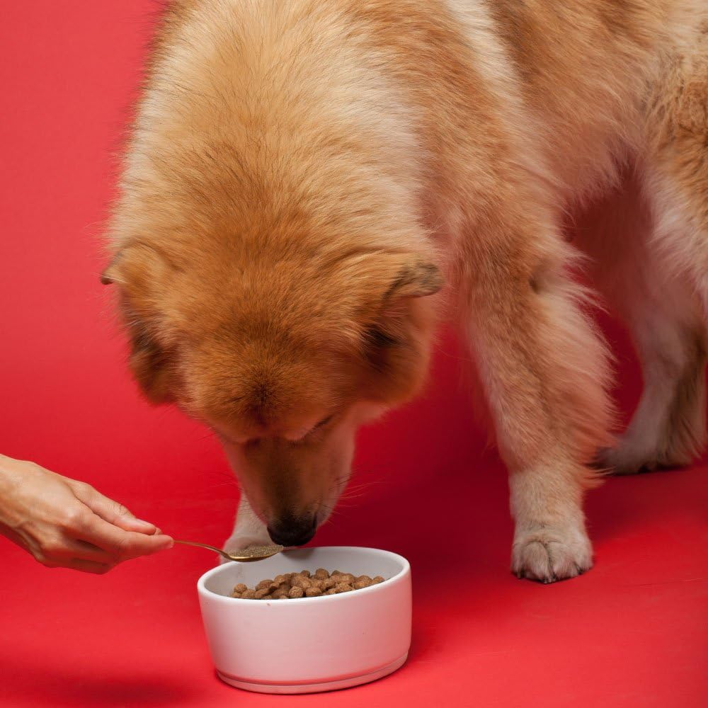 The Missing Link Senior Dog Supplement 454Gr.