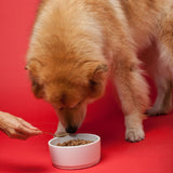 The Missing Link Senior Dog Supplement 454Gr.