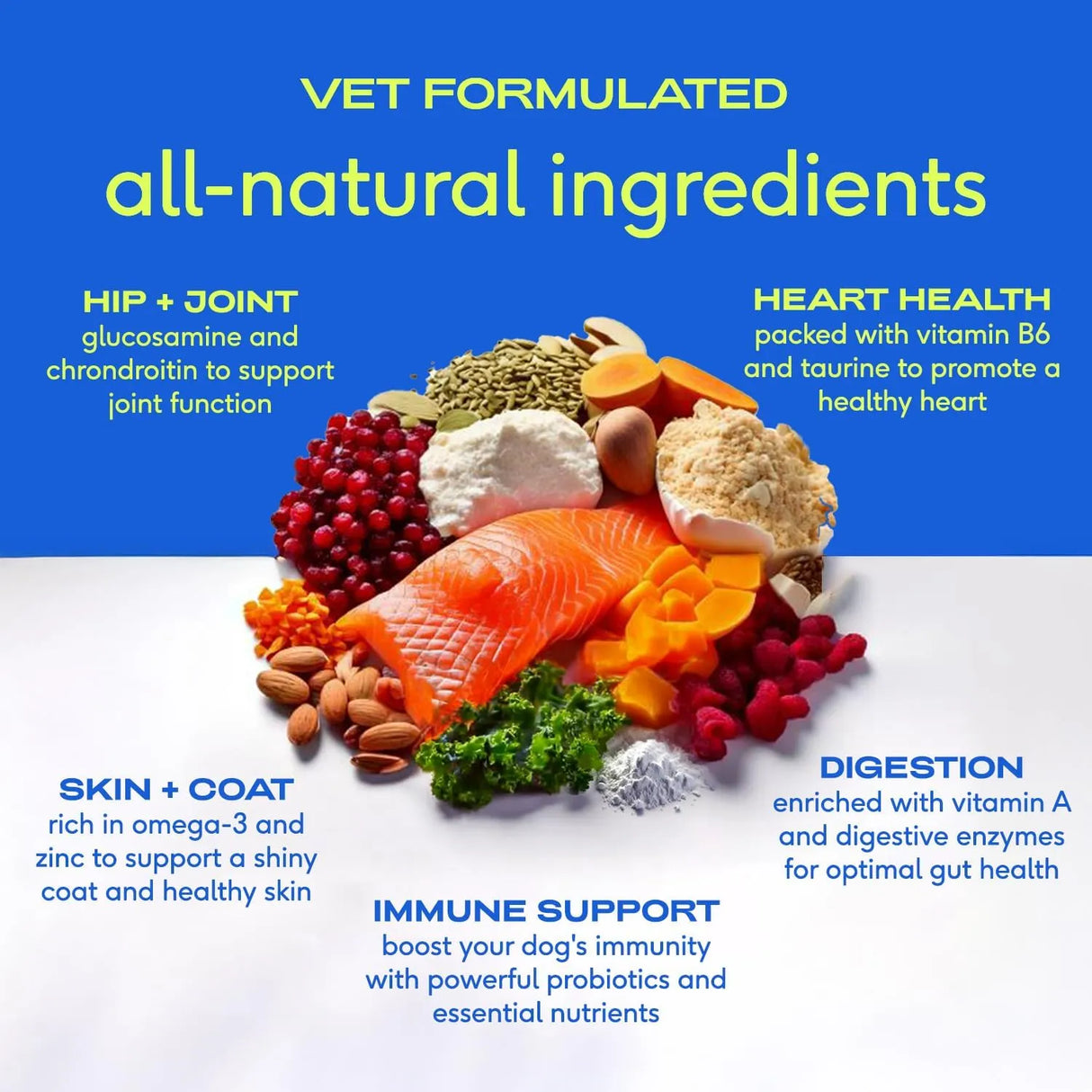 NATIVE PET - Native Pet 11-in-1 Multivitamin Powder for Dogs 60 Servicios - The Red Vitamin MX - Multivitamínicos Para Perros - {{ shop.shopifyCountryName }}
