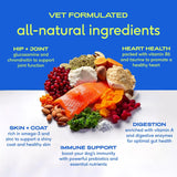 NATIVE PET - Native Pet 11-in-1 Multivitamin Powder for Dogs 60 Servicios - The Red Vitamin MX - Multivitamínicos Para Perros - {{ shop.shopifyCountryName }}