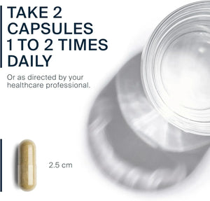 VITAL NUTRIENTS - Vital Nutrients Echinacea Extract 1000Mg. 60 Capsulas - The Red Vitamin MX - Suplementos Alimenticios - {{ shop.shopifyCountryName }}