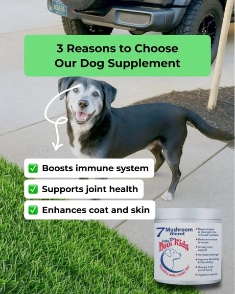 PET'S THE NEW KIDS - Pet's: The New Kids 7 Mushroom Blend Supplement for Dogs 170Gr. - The Red Vitamin MX - Suplementos Herbales Para Perros - {{ shop.shopifyCountryName }}
