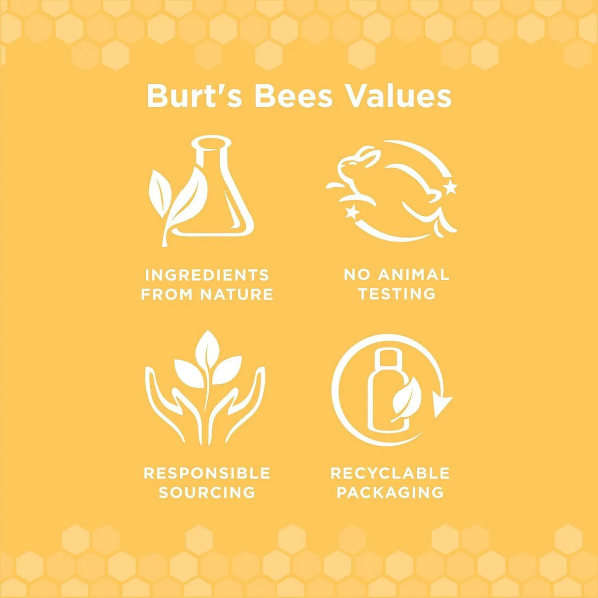 BURT'S BEES - Burt's Bees for Pets Naturally Derived Oral Care Kit 2.5 Oz. - The Red Vitamin MX - Cuidado Dental Para Perros - {{ shop.shopifyCountryName }}