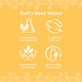 BURT'S BEES - Burt's Bees for Pets Naturally Derived Oral Care Kit 2.5 Oz. - The Red Vitamin MX - Cuidado Dental Para Perros - {{ shop.shopifyCountryName }}