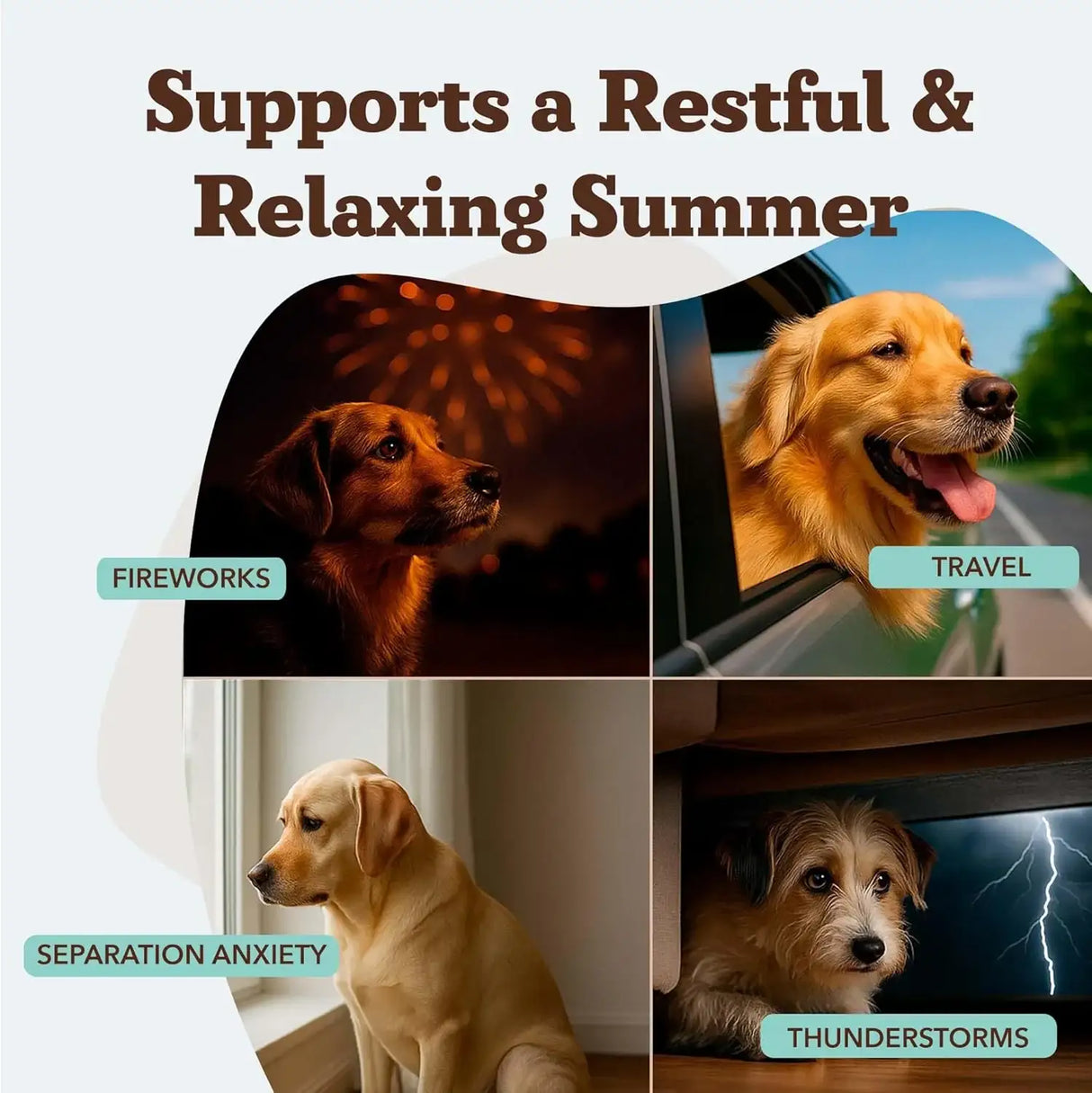 NATURAL DOG - Natural Dog Company Calming Chews for Dogs 90 Masticables - The Red Vitamin MX - Relajantes Para Perros - {{ shop.shopifyCountryName }}