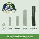 ARK NATURALS - Ark Naturals Brushless Toothpaste, Dog Dental Chews for Extra Large Breeds 680Gr. - The Red Vitamin MX - Cuidado Dental Para Perros - {{ shop.shopifyCountryName }}