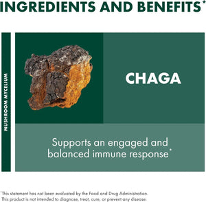 HOST DEFENSE - Host Defense Chaga 60 Capsulas - The Red Vitamin MX - Suplementos Alimenticios - {{ shop.shopifyCountryName }}