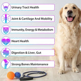OIMMAL - OIMMAL 15 in 1 Dog Multivitamin Drops for Dogs 2 Fl.Oz. - The Red Vitamin MX - Multivitamínicos Para Perros - {{ shop.shopifyCountryName }}