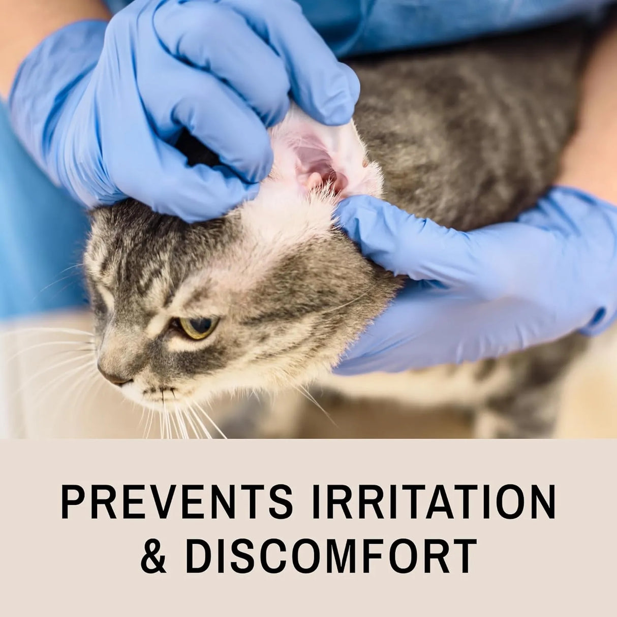 EYE ENVY - Eye Envy Ear Cleaning Solution for Dogs and Cats Unscented 4 Fl.Oz. - The Red Vitamin MX - Cuidado Del Oído De Perros - {{ shop.shopifyCountryName }}