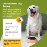Rooted Owl Joint and Muscle Health Hip and Joint Supplement for Dogs 30 Capsulas