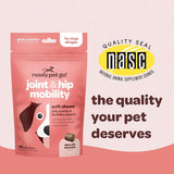 READY PET GO - Ready Pet Go! Hip and Joint Chews for Dogs 90 Masticables - The Red Vitamin MX - Cuidado De Cadera Y Articulaciones Para Perros - {{ shop.shopifyCountryName }}