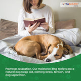 Vitamatic Melatonin for Dogs Beef Flavor 6Mg. 120 Tabletas Masticables