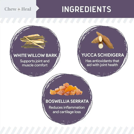 CHEW + HEAL - Chew + Heal Labs Senior Mobility and Vitality 120 Tabletas - The Red Vitamin MX - Cuidado De Cadera Y Articulaciones Para Perros - {{ shop.shopifyCountryName }}