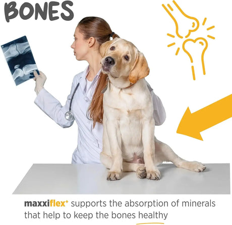 MAXXIPAWS - maxxipaws maxxiflex+ Hip & Joint Supplement for Dogs 120 Tabletas - The Red Vitamin MX - Cuidado De Cadera Y Articulaciones Para Perros - {{ shop.shopifyCountryName }}