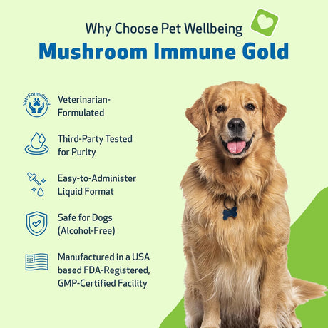 PET WELLBEING - Pet Wellbeing Mushroom Immune Gold for Dogs 236Ml. - The Red Vitamin MX - Suplementos Herbales Para Perros - {{ shop.shopifyCountryName }}