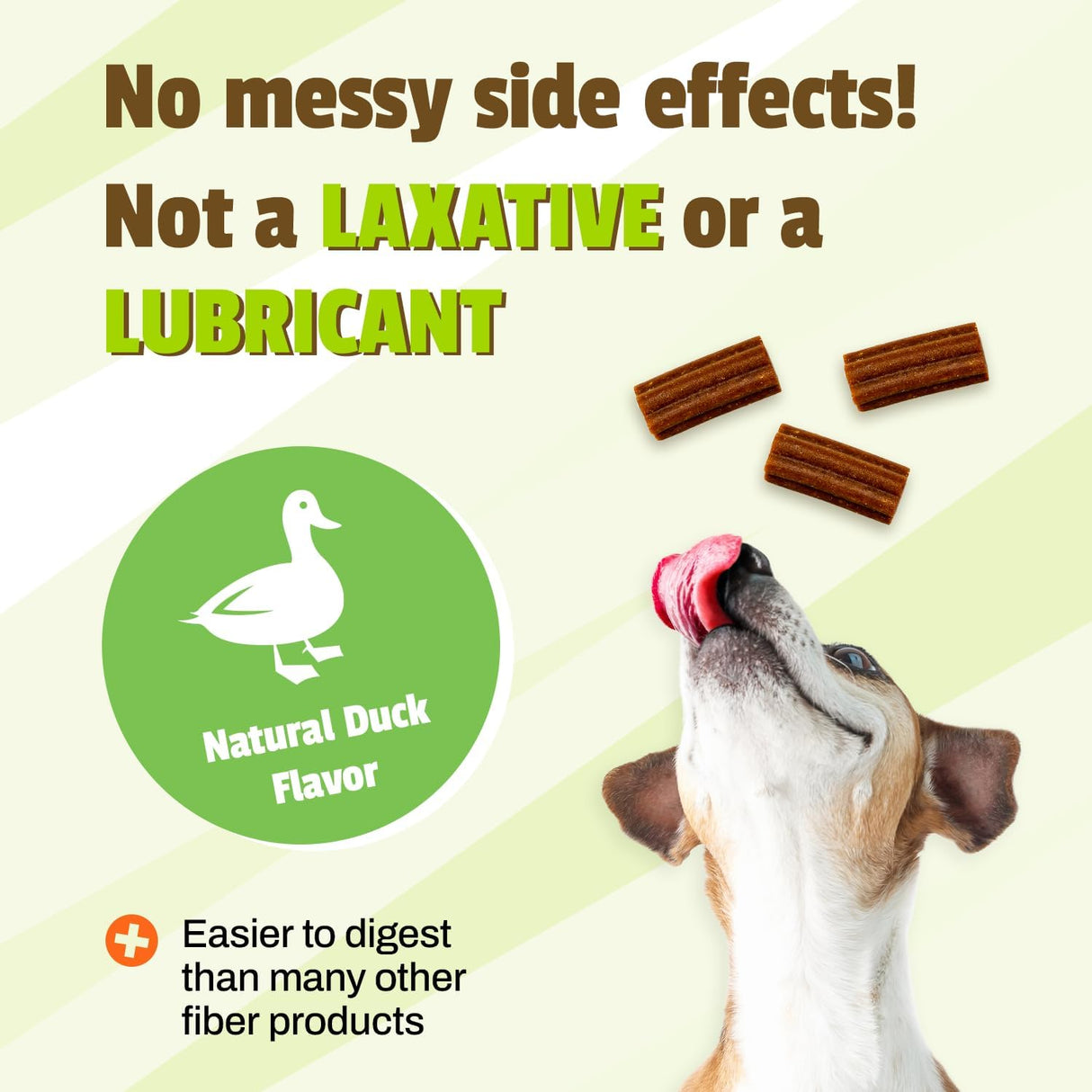 Pet Naturals Scoot Bars for Dogs Digestive Support 30 Masticables