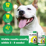 IMMAL - IMMAL Dog Teeth Cleaning Dental Powder 50Gr. - The Red Vitamin MX - Cuidado Dental Para Perros - {{ shop.shopifyCountryName }}