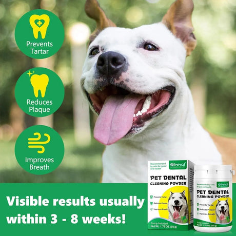 OIMMAL - OIMMAL Dog Teeth Cleaning Dental Powder 50Gr. - The Red Vitamin MX - Cuidado Dental Para Perros - {{ shop.shopifyCountryName }}